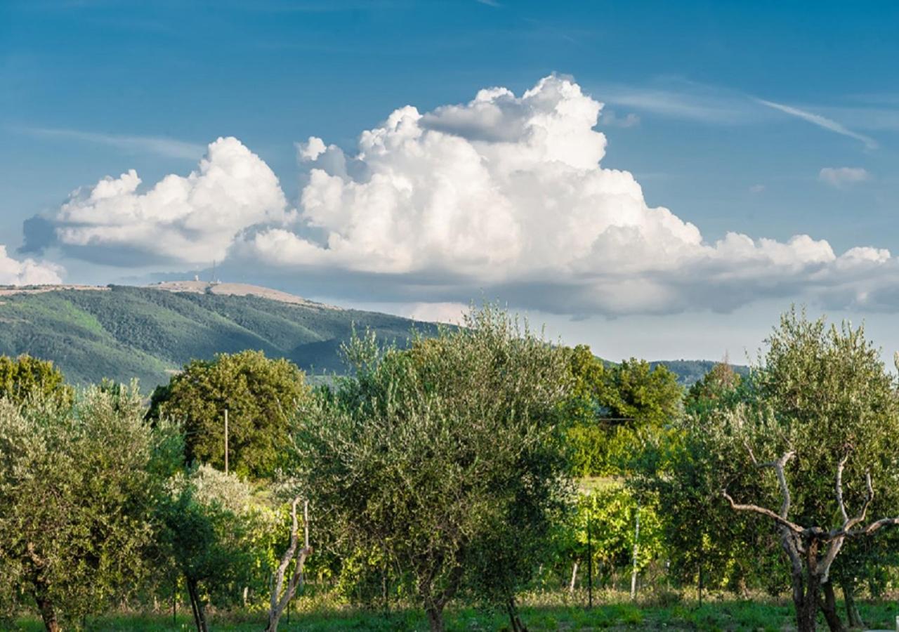 Relais Paradiso Resort & Spa Marcellano Экстерьер фото